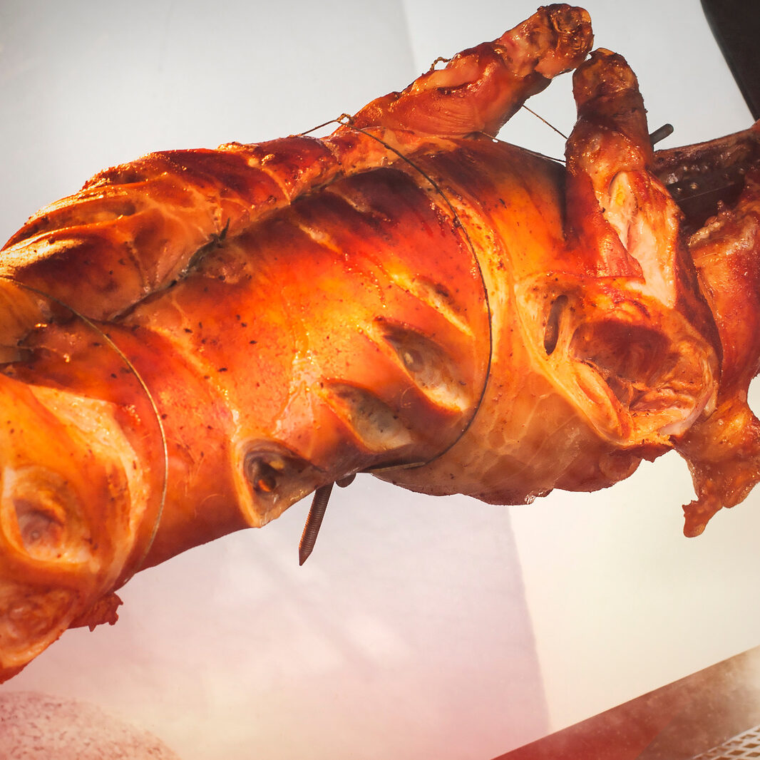 Cochon de lait à la broche